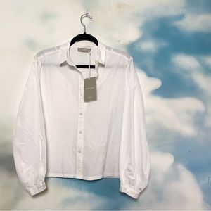 Everlane White Button Down Shirt